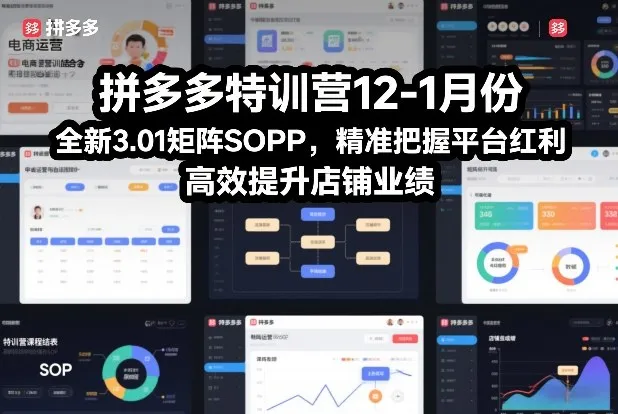 拼多多特训营12-1月份，全新3.01矩阵Sop，精准把握平台红利，高效提升店铺业绩-一支黑兰州