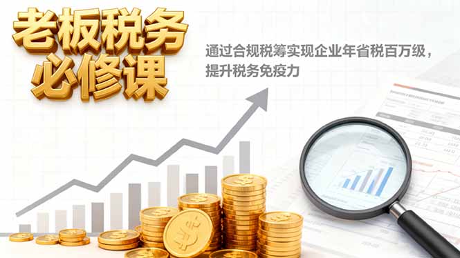 老板税务必修课，通过合规税筹实现企业年省税百万级，提升税务免疫力-一支黑兰州
