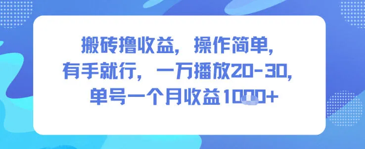 搬砖撸收益，操作简单，有手就行，一万播放20-30，单号一个月收益1k+-一支黑兰州