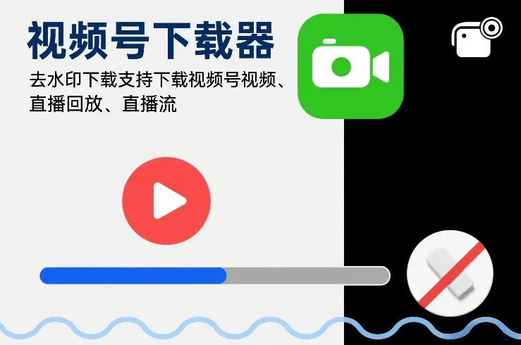 视频号下载器，去水印下载，支持下载视频号视频、直播回放、直播流-一支黑兰州