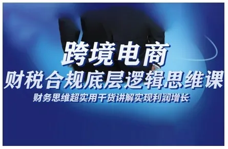 跨境电商财稅合规底层逻辑思维课，财务思维超实用于货讲解实现利润增长-一支黑兰州