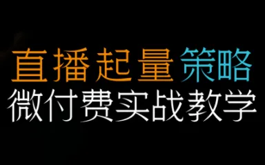 半野老师·直播带货起量与微付费必学课视频号-一支黑兰州