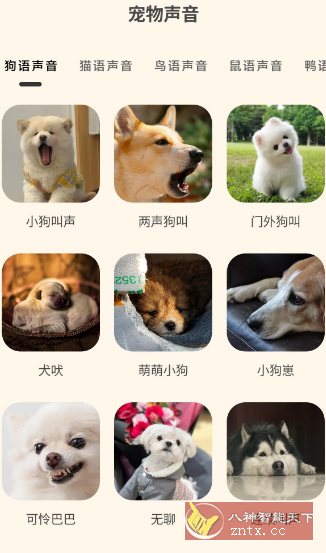 哆啦猫狗翻译器1.2.6高级版-一支黑兰州