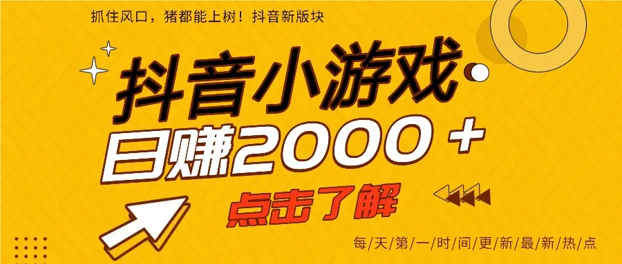 5年爆火的抖音小游戏项目，一部手机日入2000+-一支黑兰州
