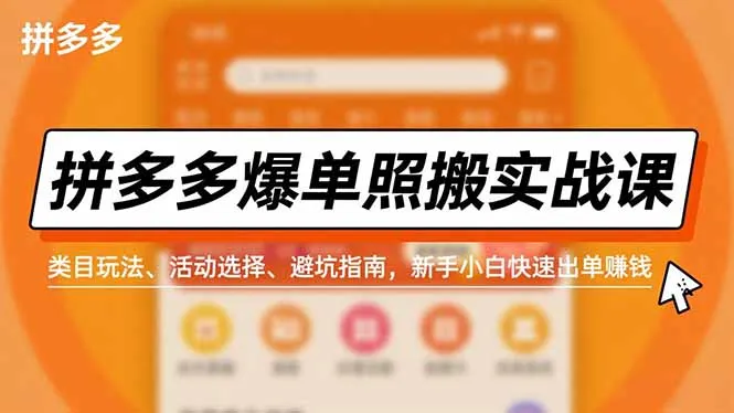 拼多多爆单照搬实战课，类目玩法、活动选择、避坑指南，新手小白快速出单赚钱-一支黑兰州