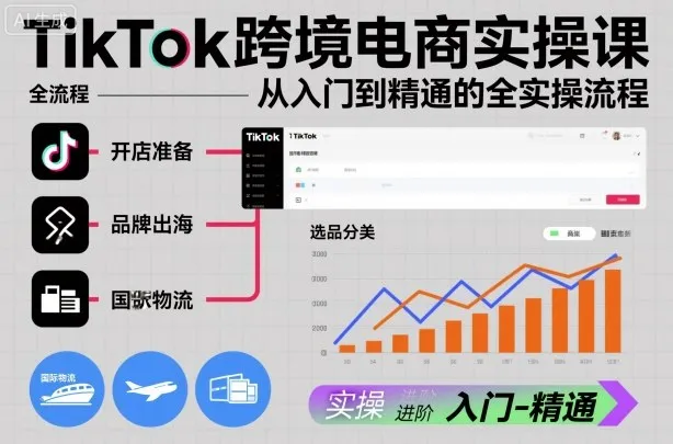 TikTok跨境电商实操课，从入门到精通的全实操流程-一支黑兰州