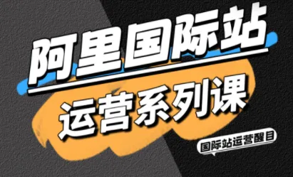 醒目老师·阿里国际站运营系列课(更新11月)-一支黑兰州