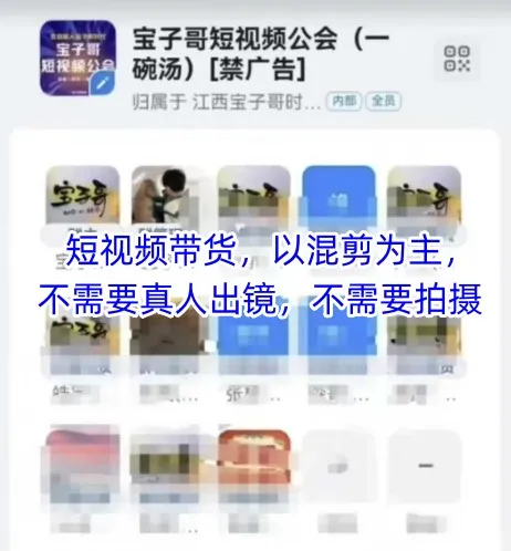 宝子哥头部团队短视频带货,以混剪为主,不需要真人出镜,不需要拍摄【更新12月】