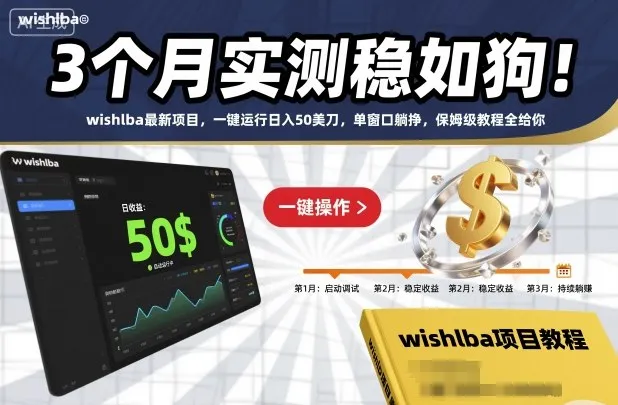 3个月实测稳如狗！wishlba最新项目，一键运行日入50美刀，单窗口躺挣，保姆级教程全给你【揭秘】-一支黑兰州