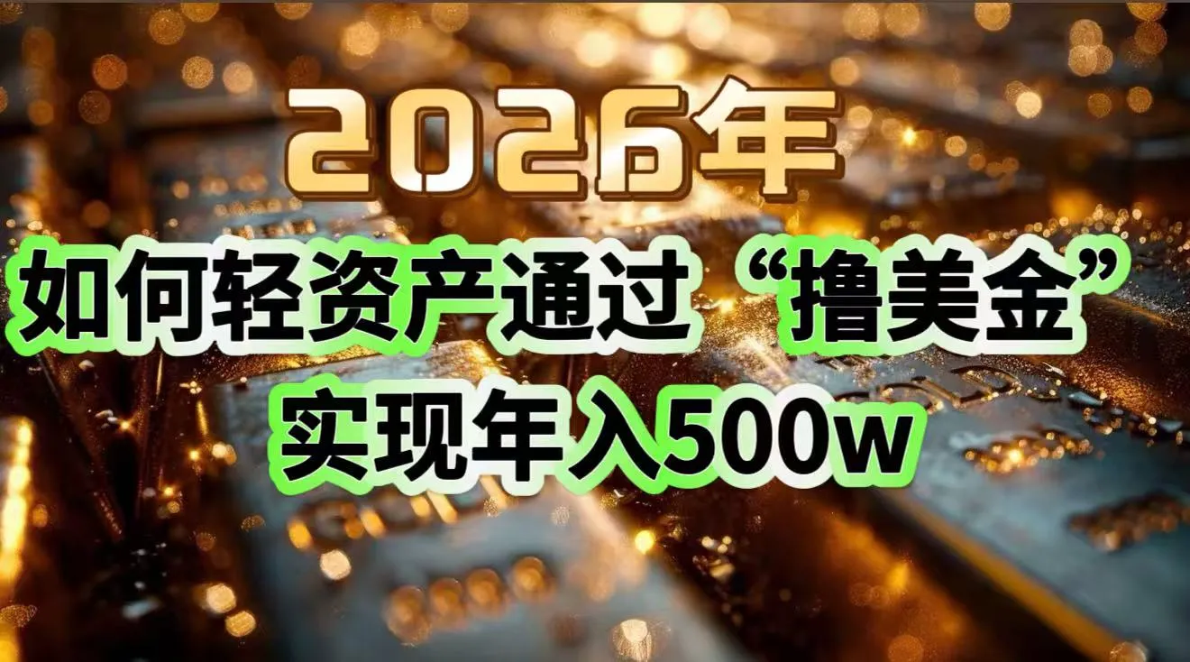 2026年如何轻资产通过“撸美金”实现年入500w-一支黑兰州