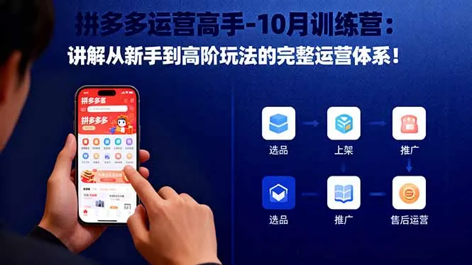 拼多多运营高手-10月训练营：讲解从新手到高阶玩法的完整运营体系！-一支黑兰州