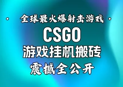 【年底大揭秘】基于全球最火爆的射击CSGO游戏挂G搬砖，日入5张+，震撼公开-一支黑兰州