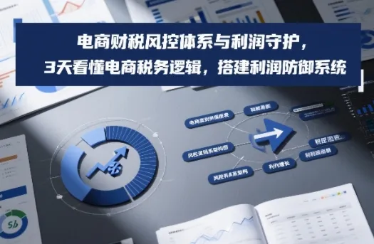 电商财税风控体系与利润守护，3天看懂电商税务逻辑，搭建利润防御系统-一支黑兰州