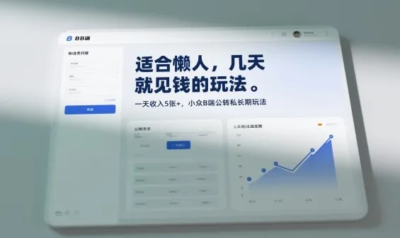 适合懒人，几天就见钱的玩法，一天收入5张+，小众B端公转私长期玩法-一支黑兰州