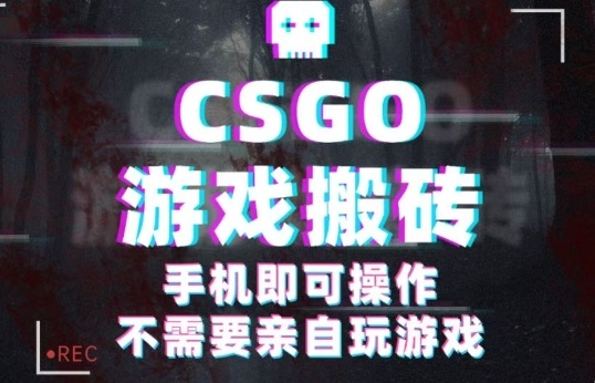 CSGO游戏挂G捡漏,单日扫货5张+,年底小高峰上车可吃肉,手机即可操作,兼职副业创业网创【揭秘】-一支黑兰州