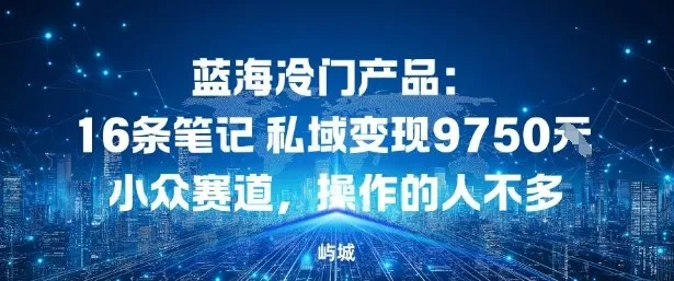 蓝海冷门产品：16条笔记私域变现9750米，小众赛道，操作的人不多-一支黑兰州