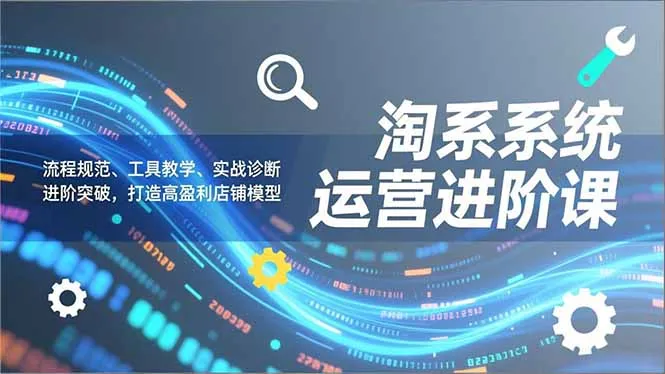 淘系系统运营进阶课2.0，流程规范、工具教学、实战诊断，进阶突破，打造高盈利店铺模型-一支黑兰州