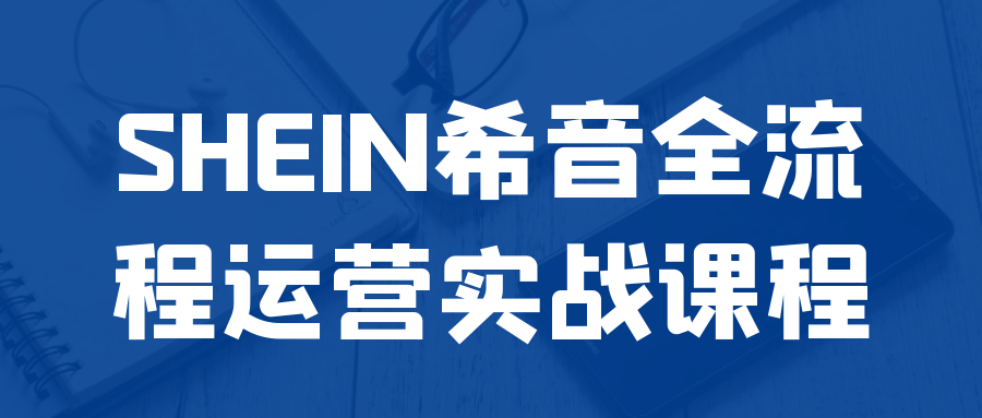 SHEIN希音全流程运营实战课程-一支黑兰州