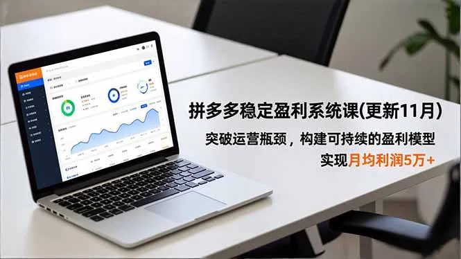 拼多多稳定盈利系统课(更新11月-一支黑兰州