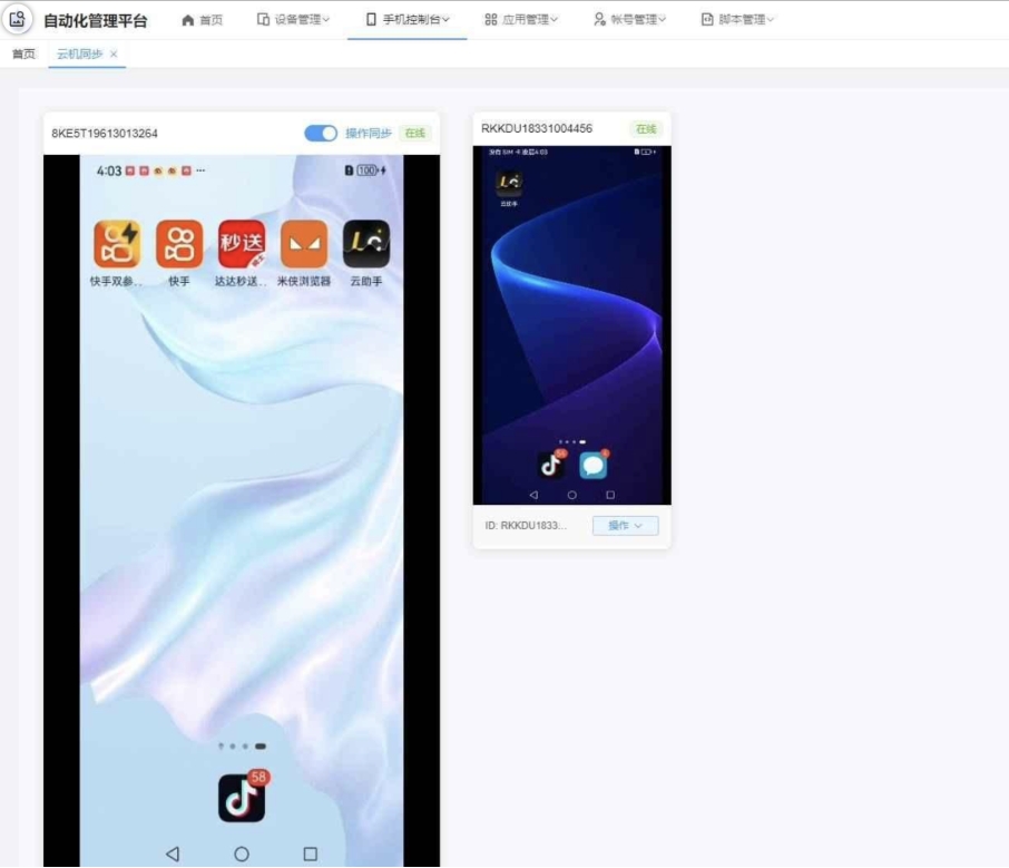 云手机群控系统源码 云手机多开群控 自动化管理程序源码-一支黑兰州