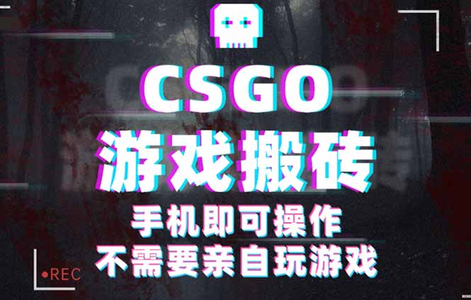 CSGO游戏挂机捡漏，单日扫货500+，年底小高峰上车可吃肉，手机即可操作…-一支黑兰州