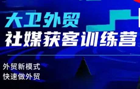 大卫老师·外贸社媒获客独家训练营(更新)-一支黑兰州