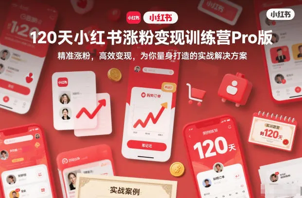 120天小红书涨粉变现训练营Pro版，精准涨粉，高效变现，为你量身打造的实战解决方案-一支黑兰州