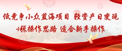 低竞争小众蓝海项目,轻资产日变现4张的操作思路适合新手操作-一支黑兰州