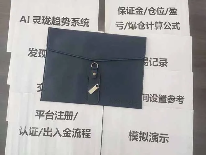 图片[5]-海外美金AI掘金项目，200U可入门槛，一天一单即可，每天1000-2000很轻松！-一支黑兰州