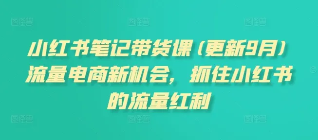 小红书笔记带货课(更新25年12月)流量电商新机会,抓住小红书的流量红利-一支黑兰州