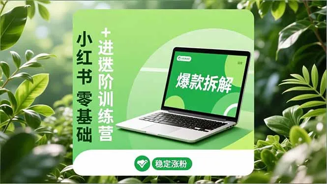 小红书零基础+高阶训练营：安全养号、爆款拆解、长效运营，实现稳定涨粉与变现-一支黑兰州
