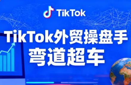 TikTok外贸操盘手(更新11月)-一支黑兰州