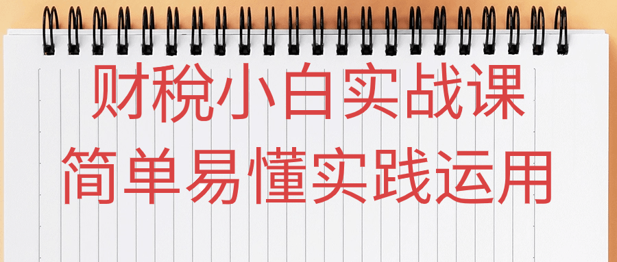 财稅小白实战课简单易懂实践运用-一支黑兰州