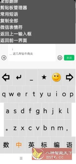 点明输入法v3.0.0729 --专为视障朋友打造的盲用输入法-一支黑兰州