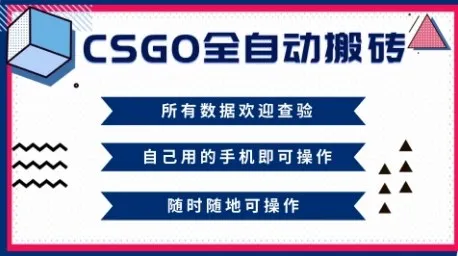 CSGO全自动搬砖，年底钱回家好项目，当天可拿到结果，新手小白轻松月入1W+【揭秘】-一支黑兰州