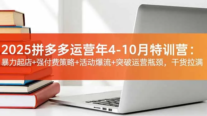 2025拼多多运营年4-10月特训营：暴力起店+强付费策略+活动爆流+突破运营瓶颈，干货拉满-一支黑兰州