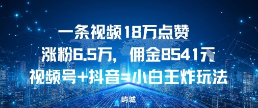 一条视频18W点赞涨粉6.5W，佣金8541视频号+抖音=小白王炸玩法-一支黑兰州