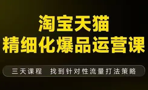 猫课子幽·淘宝天猫精细化爆品运营【音频+字幕+文档】(9月12-14杭州线下课)-一支黑兰州