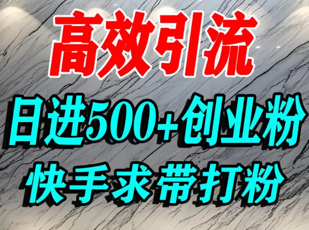 怎么打创业粉？快手求带视角精准引流创业粉，宝妈、学生群体日进500+精准流量-一支黑兰州