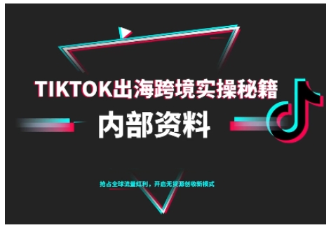 TikTok跨境电商0-1搭建运营，TK出海跨境实操秘籍（10月更新）-一支黑兰州