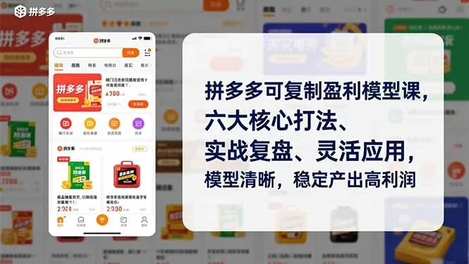 拼多多可复制盈利模型课，六大核心打法、实战复盘、灵活应用，模型清晰，稳定产出高利润-一支黑兰州