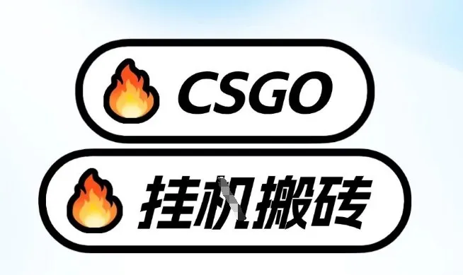 真全网独家CSGO挂G，最新玩法,单日捡漏1K+，不用电脑，不用打游戏【揭秘】-一支黑兰州