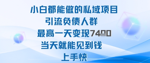 2025年小白都能做的私域项目引流负债人群最高一天变现1k+高变现难度低当天就能见到钱上手快-一支黑兰州