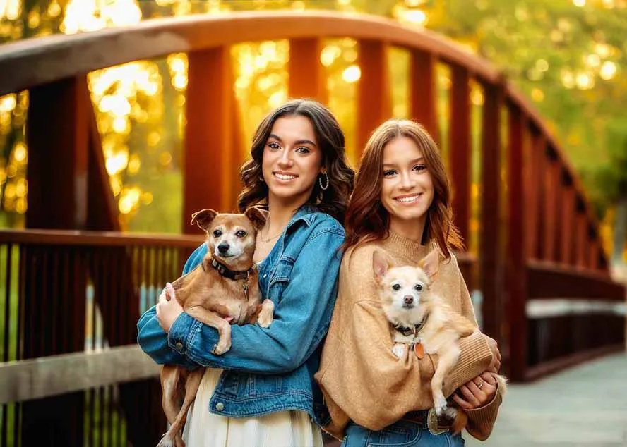 图片[2]-大师级GTG出品-老友记系列AI自适应预设The Friends Preset Collection-一支黑兰州