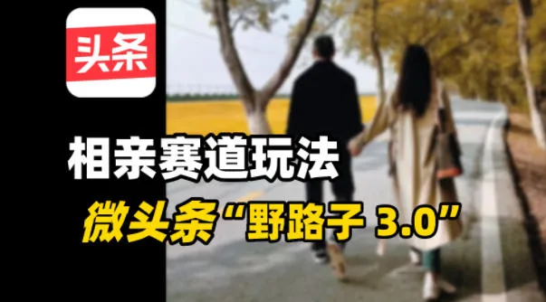 微头条“野路子3.0”相亲赛道玩法，搬砖式操作单号稳定3张-一支黑兰州