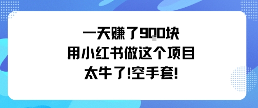 一天挣了9张用小红书做这个项目太牛了，空手套-一支黑兰州