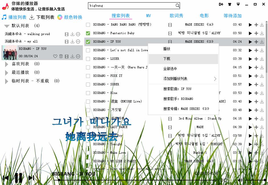 你妹的播放器全套源码功能齐全-一支黑兰州