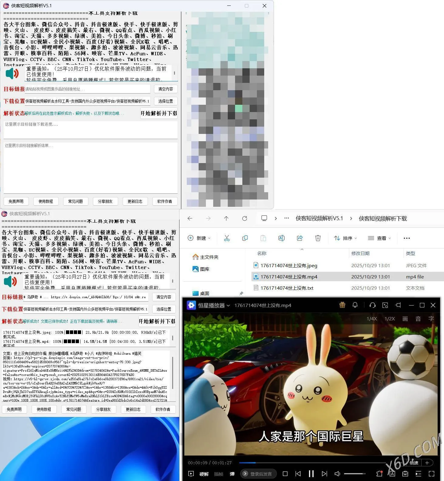 侠客多平台短视频解析去水印工具 V5.1-一支黑兰州