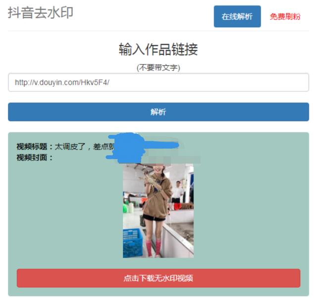 抖音在线去水印网站PHP源码-一支黑兰州