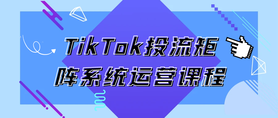 TikTok投流矩阵系统运营课程-一支黑兰州
